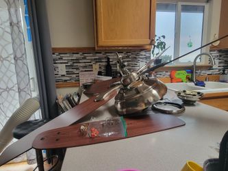 Ceiling fan with light
