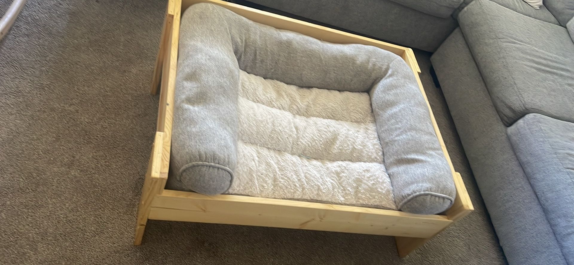 Animal Bed