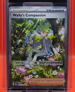 Wally's Compassion 186/132 Pokemon Mega Evolution Special Illustration Rare, NM