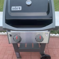 Weber GS 4