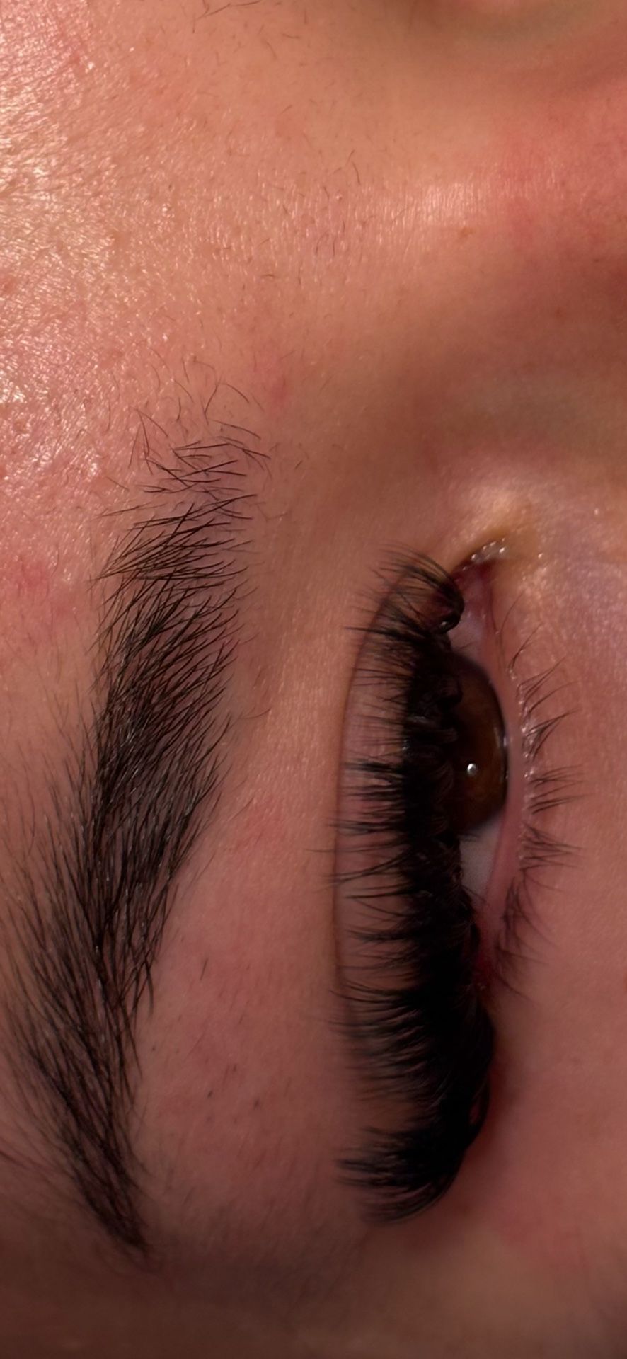 Extensiones De Pestañas