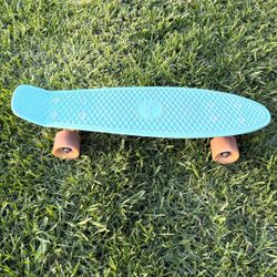 Skate Board 