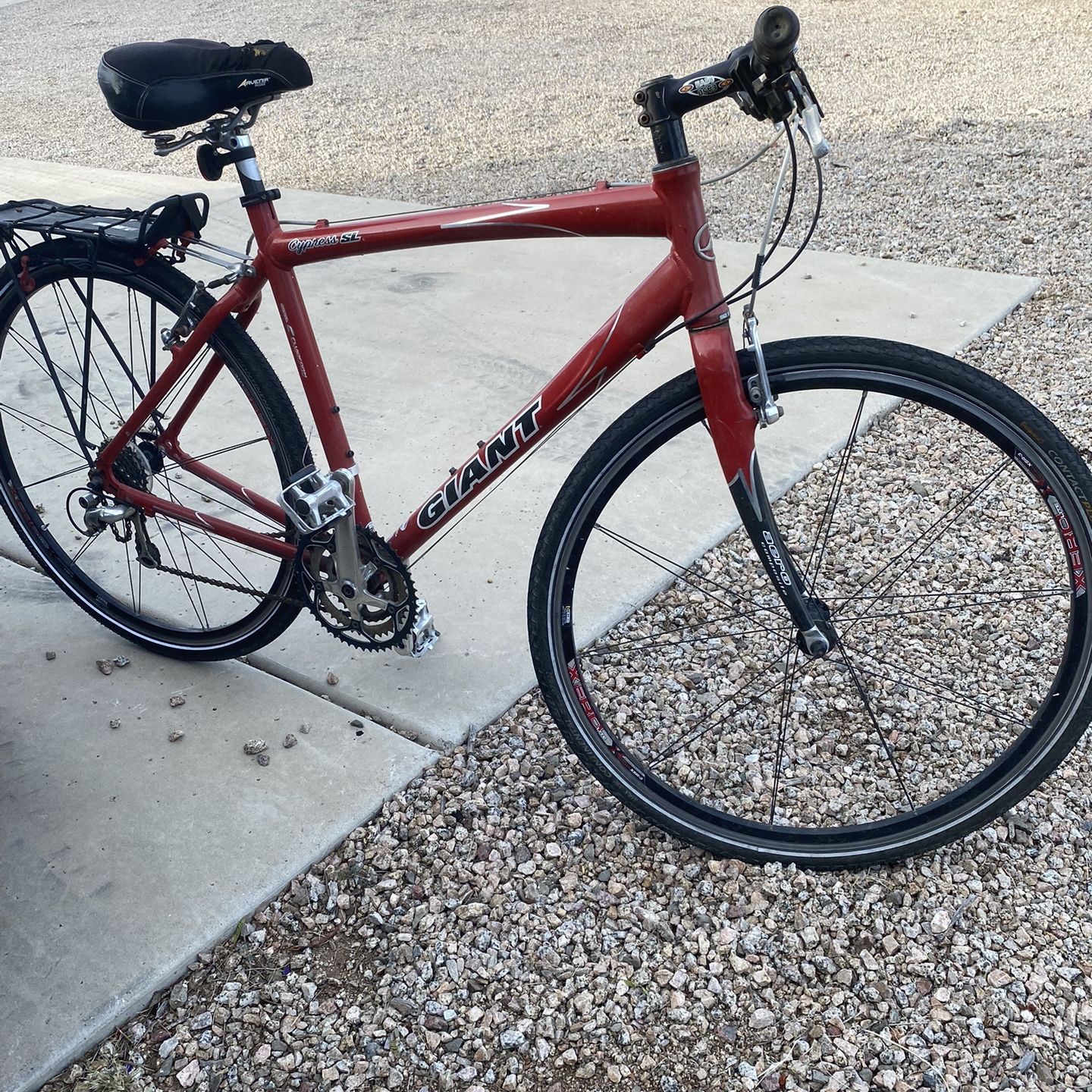 Giant cypress sl sale