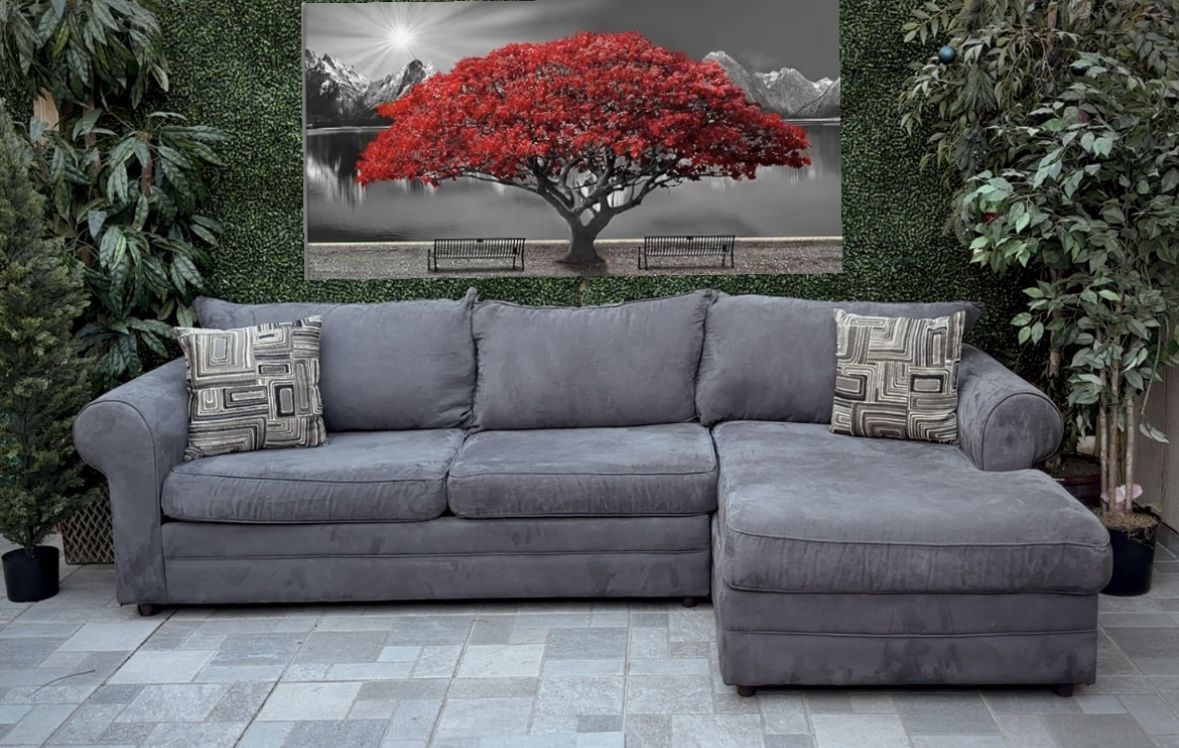 (Free delivery 🚚) Charcoal 2-Piece Sectional Couch w/Chaise