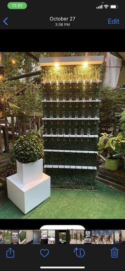 Champagne Wall