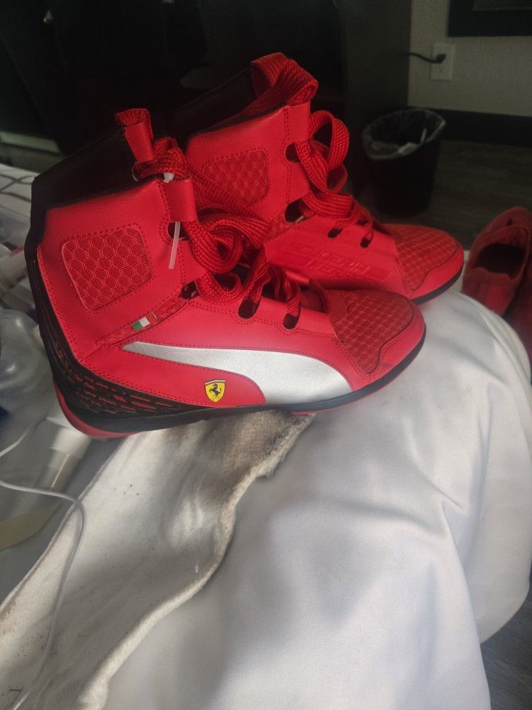 Puma Size 10