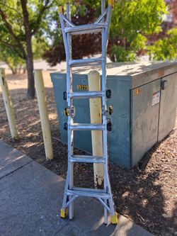 Ladder little gorilla