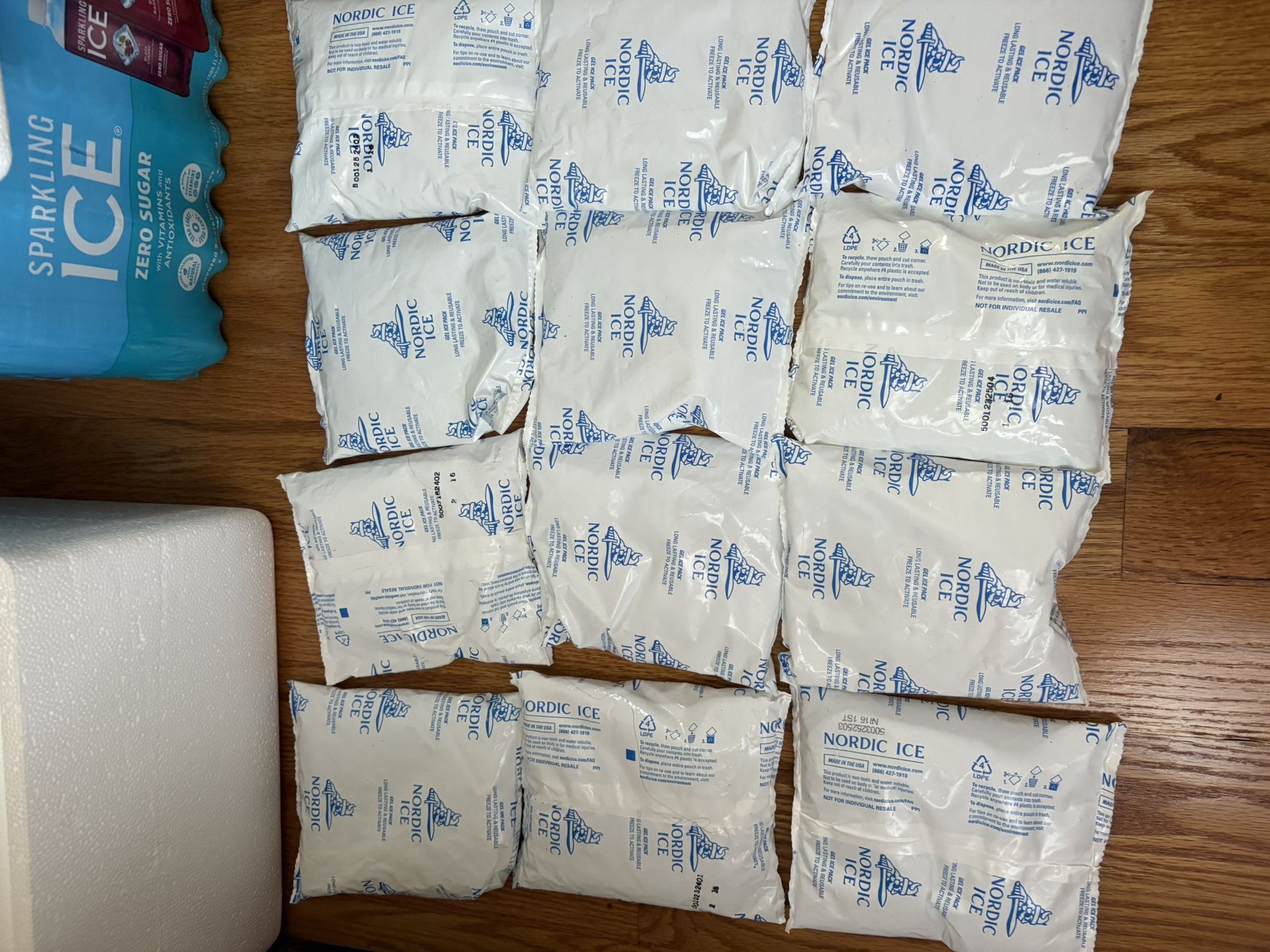 12 Reusable Ice Packs