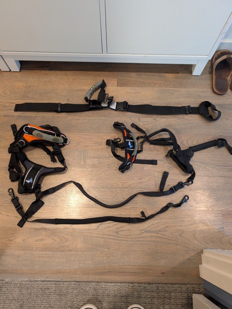 Help 'em Up Harness For Senior Dogs