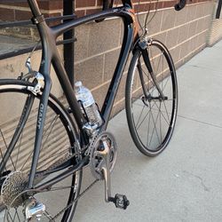 Giant Full Carbon Road Bike