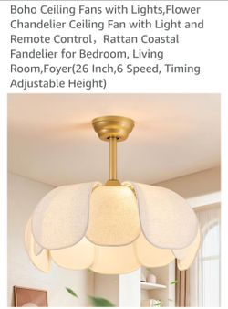 Ceiling fan light