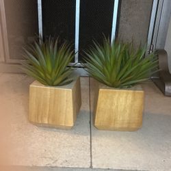 2 Cute Fake Succulents 