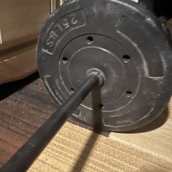 Barbell 25 Lbs 