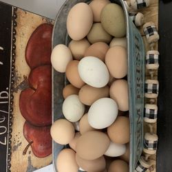 Farm Eggs