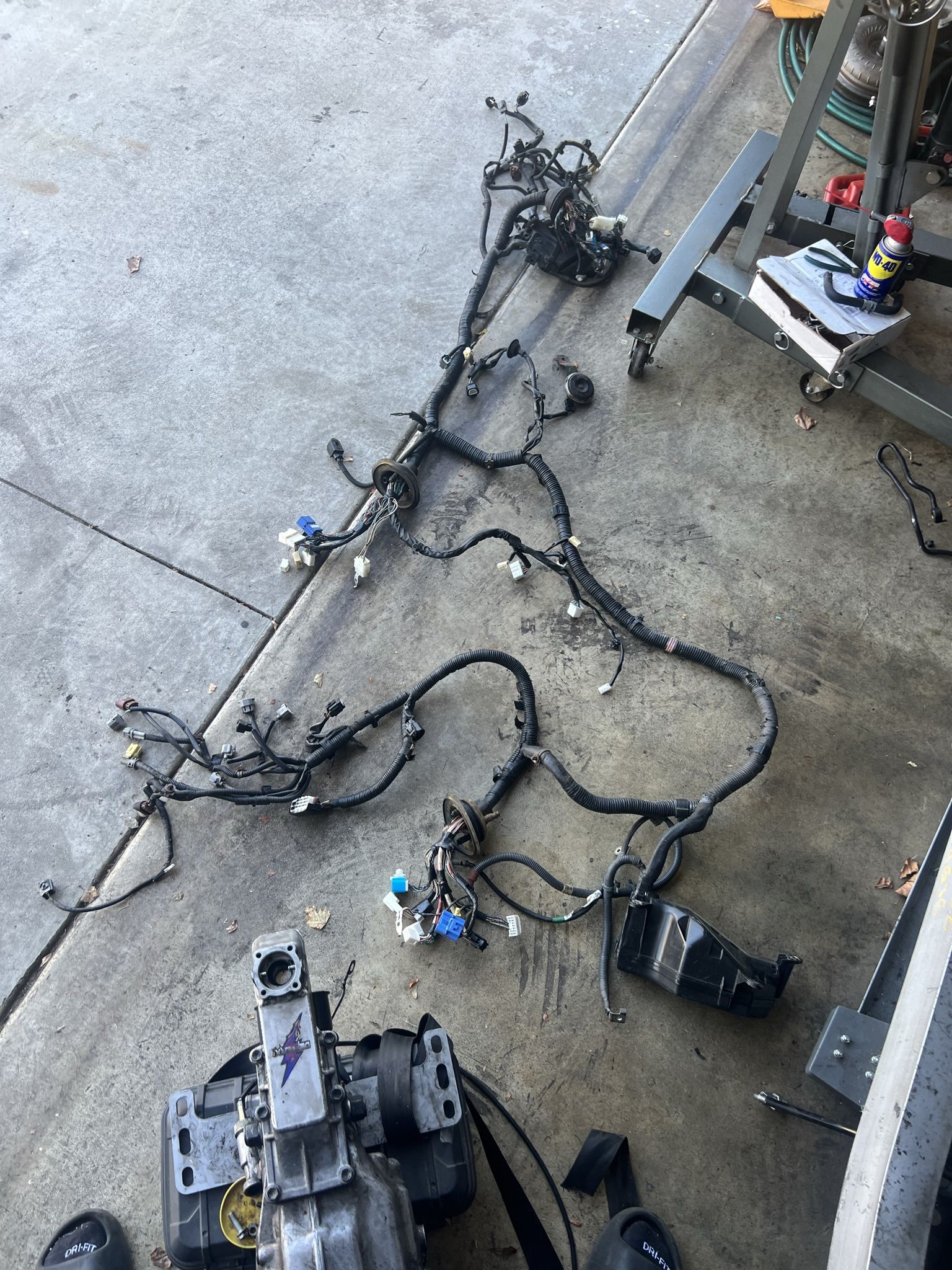 02-05 LEXUS JCE10L IS300 2JZGE M/T W55 ENGINE BAY WIRE WIRING HARNESS OEM