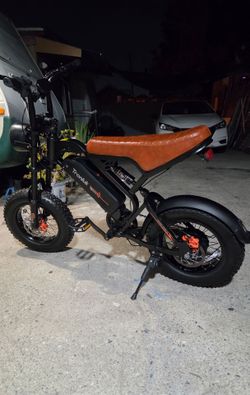 Electric bike