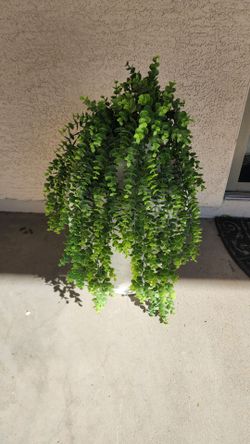 Textured gray ceramic vase with artificial trailing eucalyptus plant