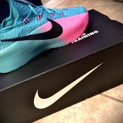 Nike Lebron TR1 (South Beach) Size 9