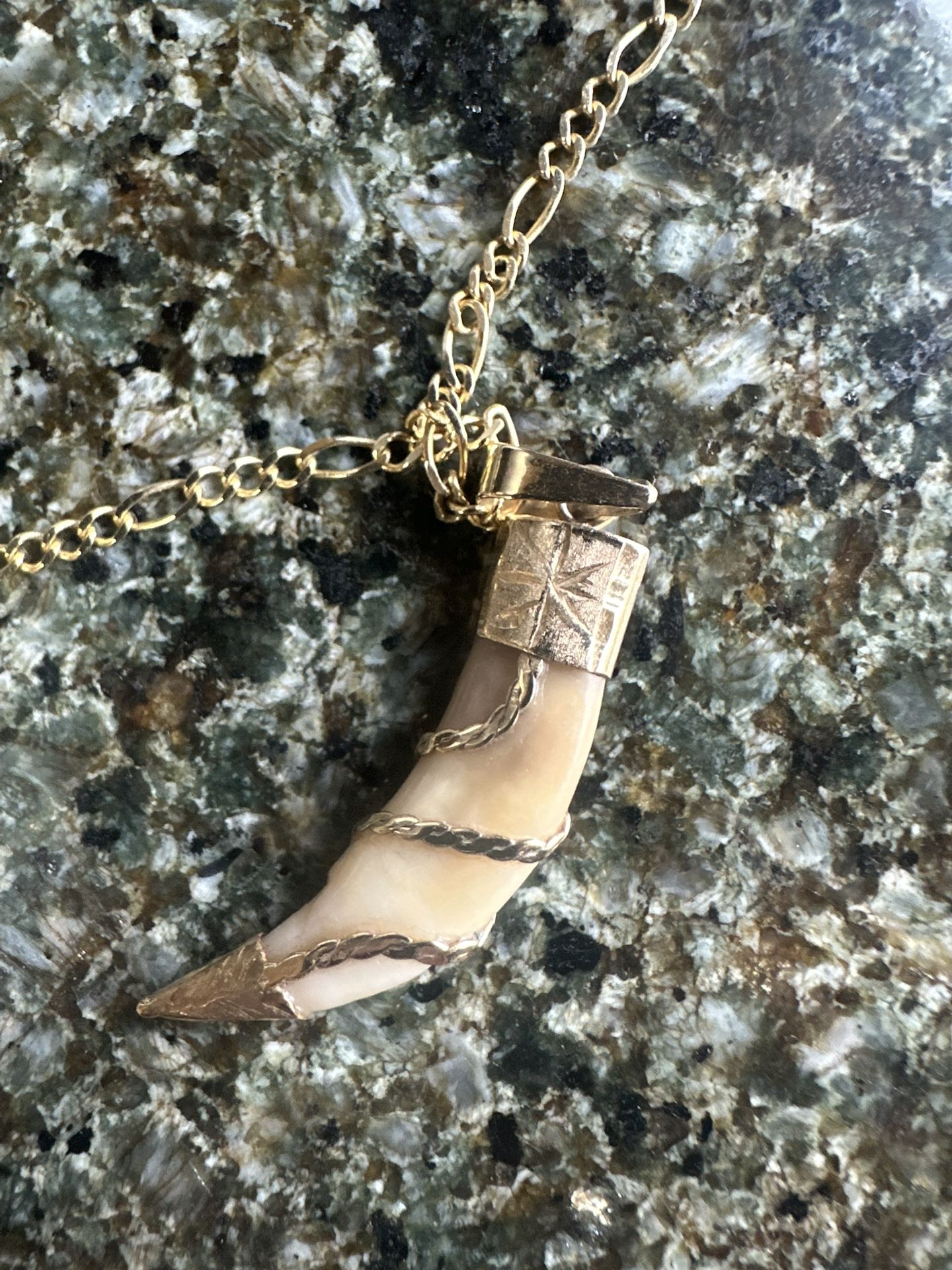 14k Gold Coyote tooth Necklace