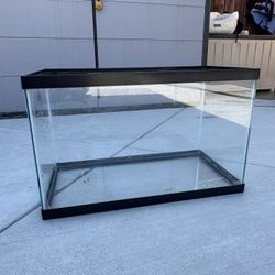 10 Gallon Fish Tank 