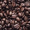 Sam Coffee