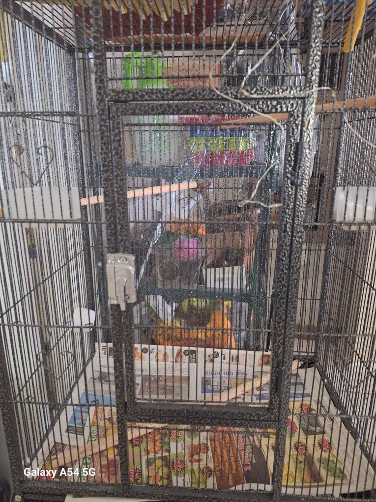 Bird Cage 31 H 16.5 W