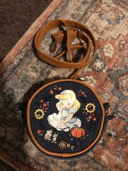 Cinderella Purse