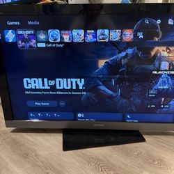 46 In Sony Bravia LCD Tv