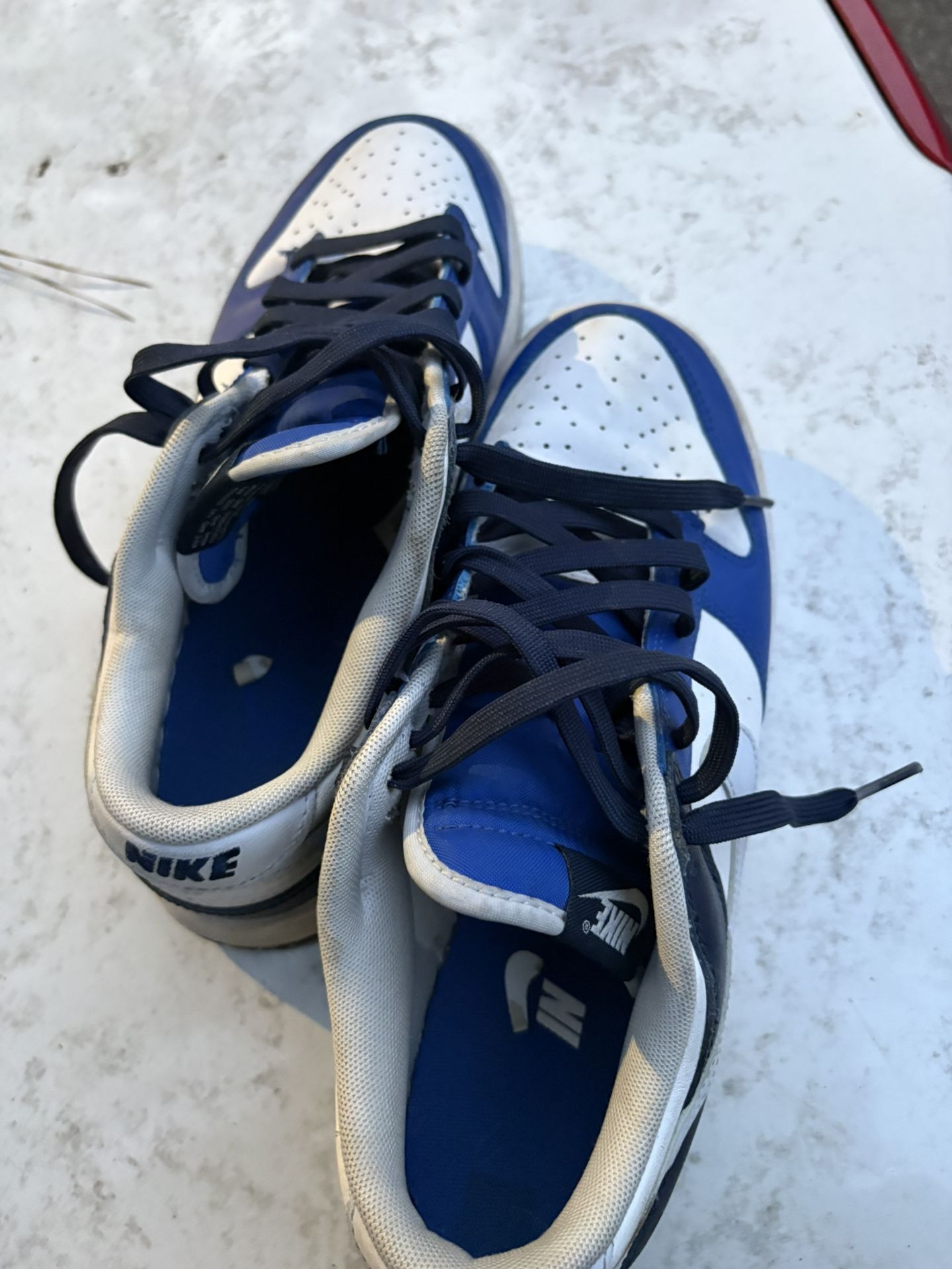 BLUE DUNKS