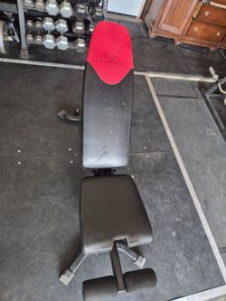 Bowflex Gym Weight Bench