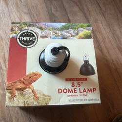 Dome Lamp 8.5 NEW never Used Firm $12