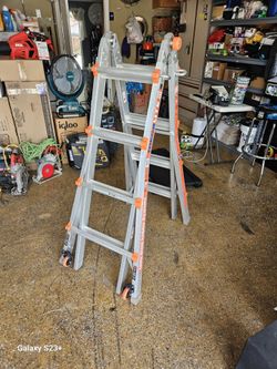 Little giant ladder