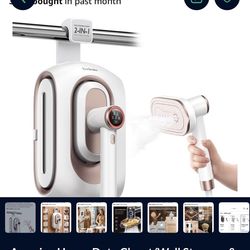 Professional Steamer