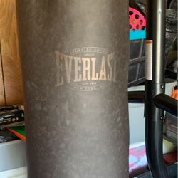 Everlast Boxing Bag 