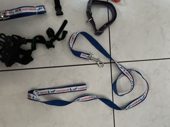 Dodgers Leash $20- Dogs Accessories Each Piece $10