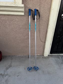 Trekking pole