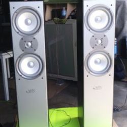 (2) MTS Dual 6.5” 100w Audiophile Tower Speakers