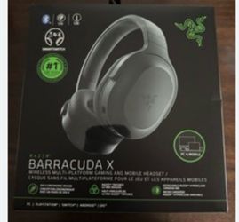 Razer Headset