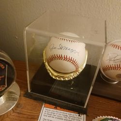 Joe Dimaggio