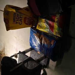 Cat Food, And Cat Stuff