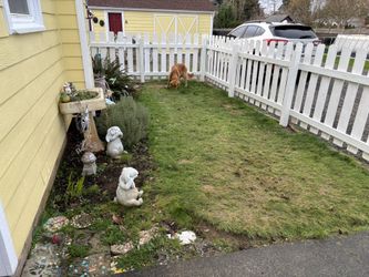 ISO Turf And Turf Installation