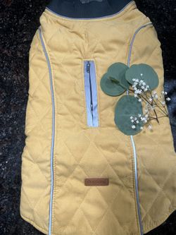 Yellow Dog Sweater