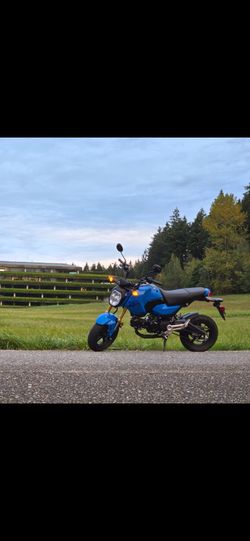 2025 Honda Grom