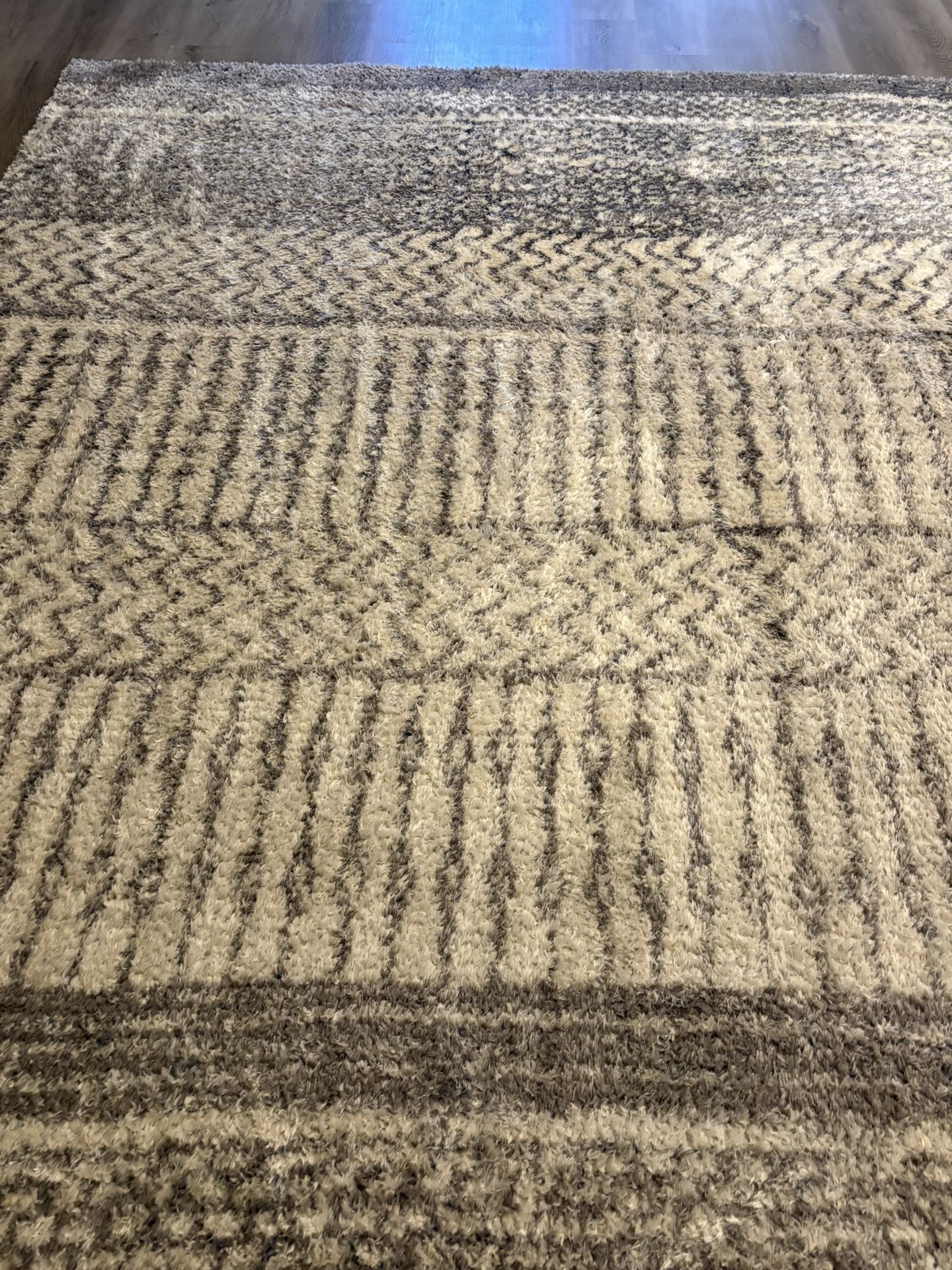 Area Rug Cream And Gray Color