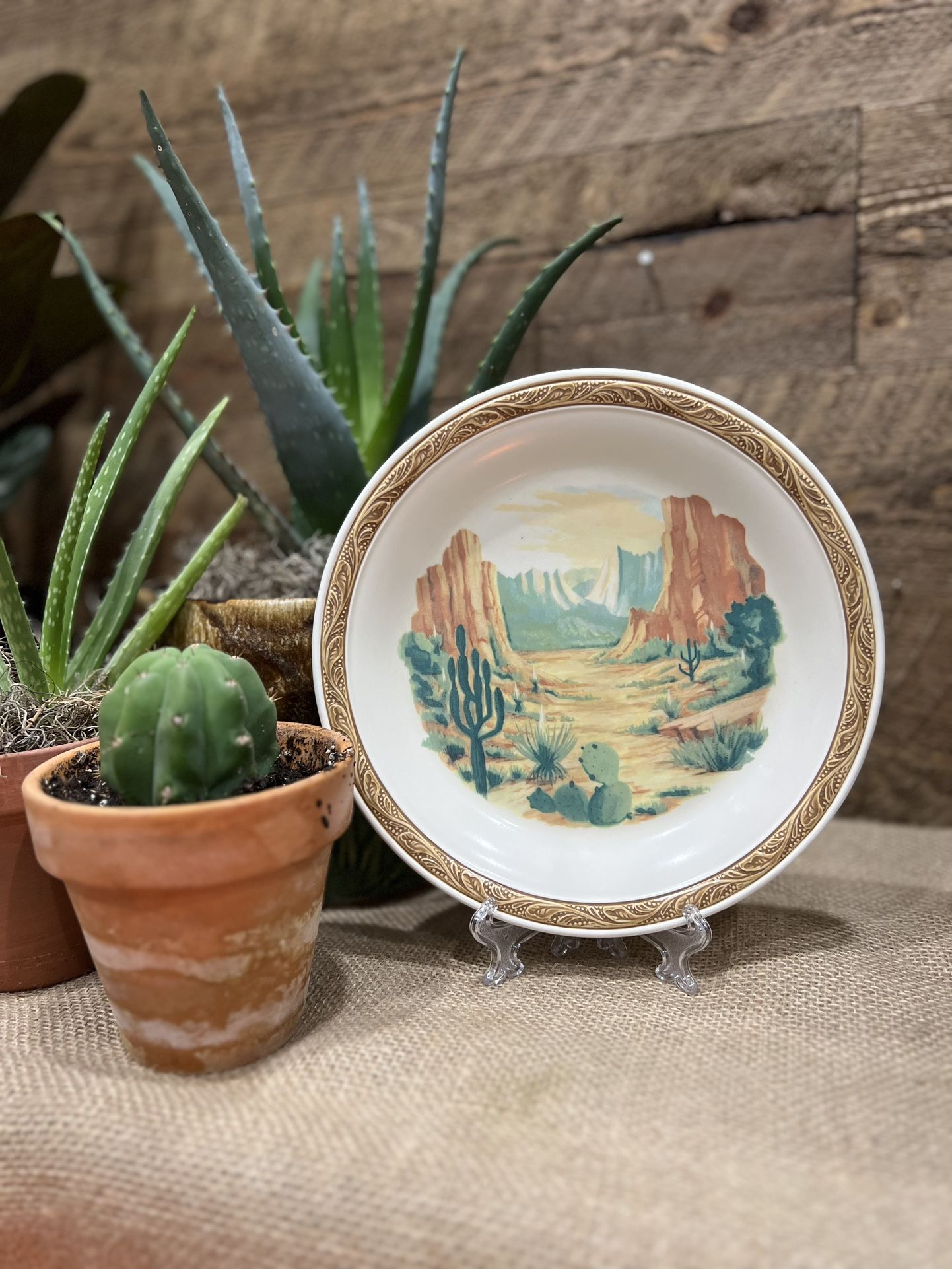 Boho Vintage Desert Scene Plate Cactus Succulent Nikko Japan Tableware Plate Accent Trinket Tray