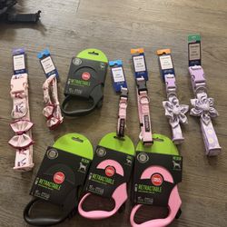 Dog Collar And Leash 