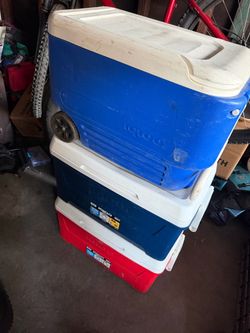 Igloo Coolers