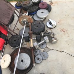 Weights Of All Different Shapes And Sizes