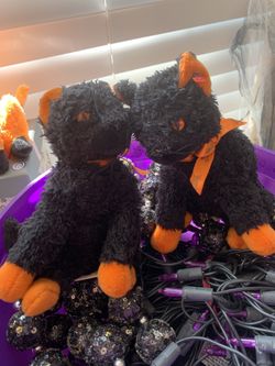 2 black cats