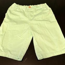 Boys Teal/Green Shorts Sz.6/7